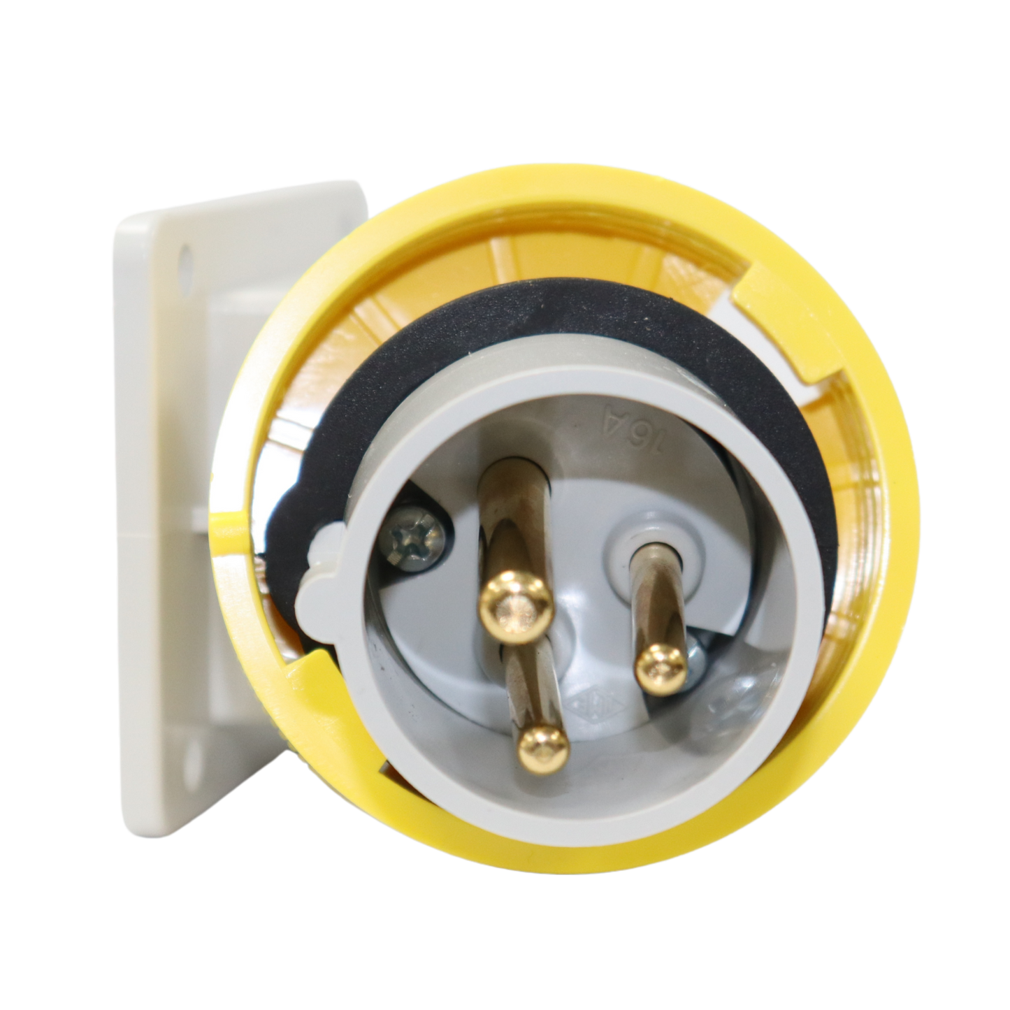 110V Surface Mount for IMER Scaffold Hoist - CLM Construction Supplies Ltd